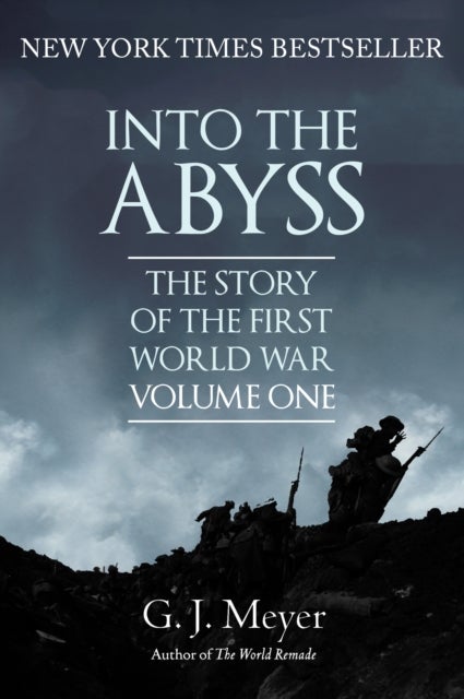 Into The Abyss - The Story of the First World War, Volume One