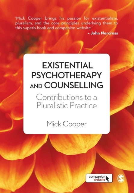Existential Psychotherapy and Counselling - Contributions to a Pluralistic Practice