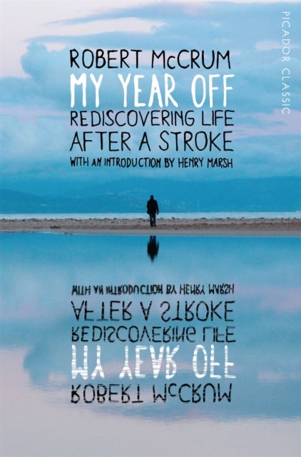 My Year Off - Rediscovering Life After a Stroke