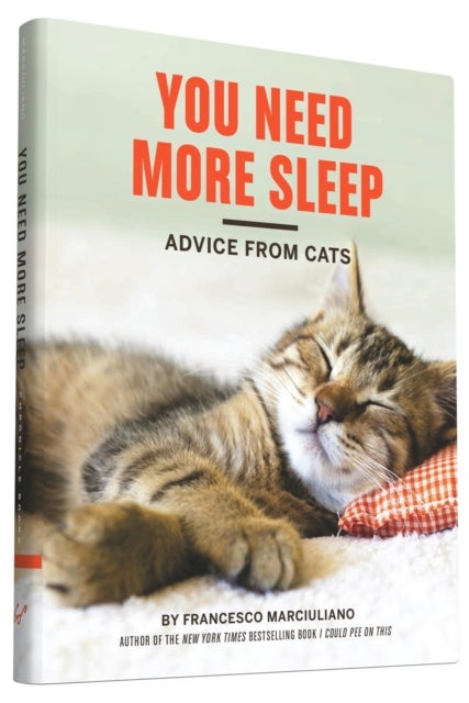You Need More Sleep - Advice From Cats