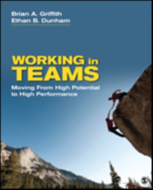 Working in Teams - Moving From High Potential to High Performance