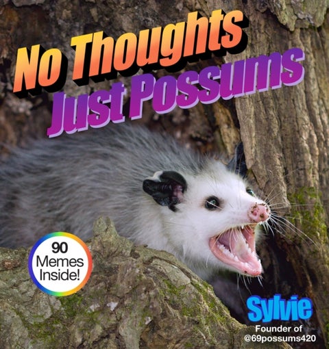 No Thoughts Just Possums - 90 Hilarious Memes