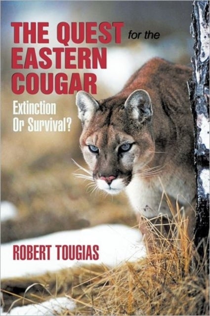 The Quest For The Eastern Cougar - Extinction Or Survival?