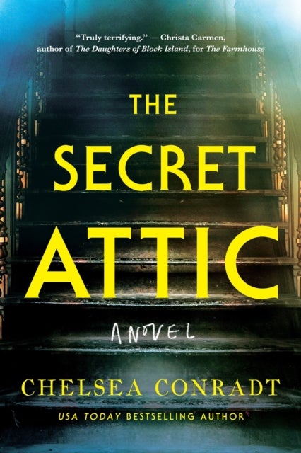 The Secret Attic - A novel