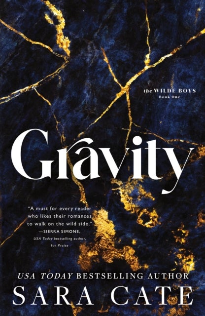 Gravity - A Dark Forbidden Billionaire Romance