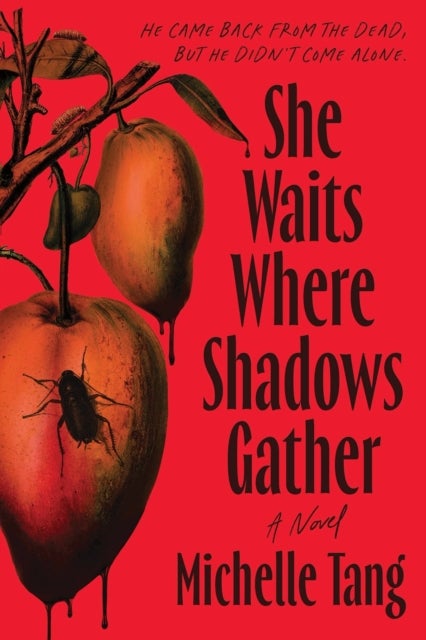She Waits Where Shadows Gather - A Novel