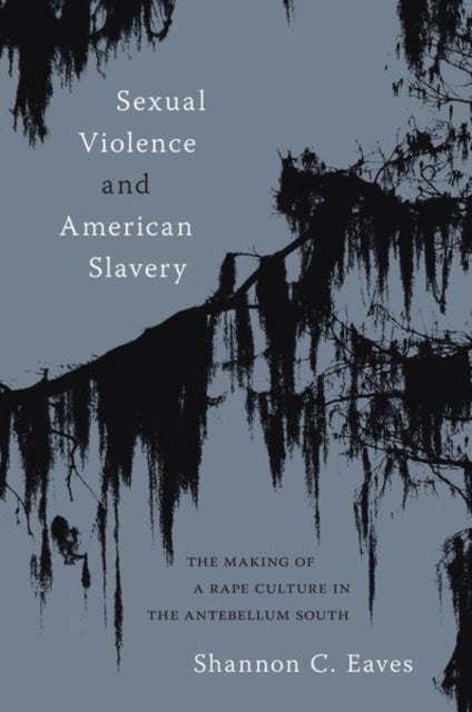 Sexual Violence and American Slavery - The Making of a Rape Culture in the Antebellum South