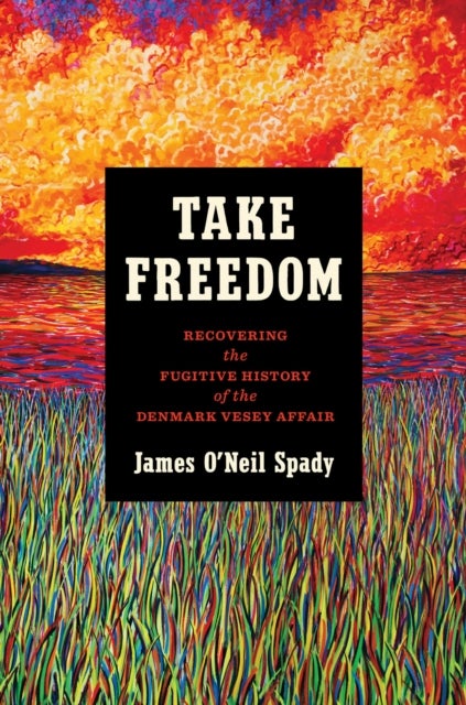 Take Freedom - Recovering the Fugitive History of the Denmark Vesey Affair