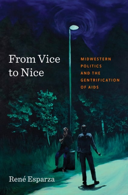 From Vice to Nice - Midwestern Politics and the Gentrification of AIDS