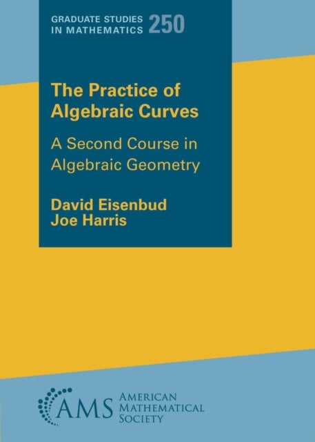 The Practice of Algebraic Curves - A Second Course in Algebraic Geometry