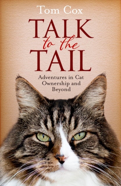 Talk to the Tail - Adventures in Cat Ownership and Beyond