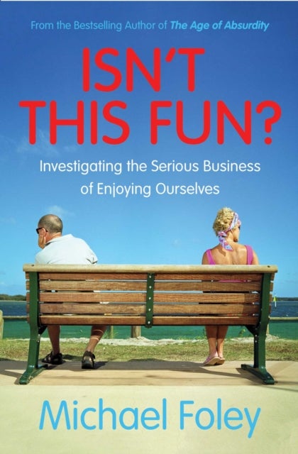 Isn't This Fun? - Investigating the Serious Business of Enjoying Ourselves