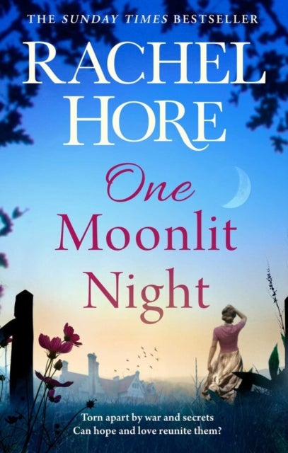 One Moonlit Night - The unmissable novel from the million-copy Sunday Times bestselling author of A Beautiful Spy