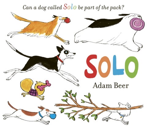 Solo - Can a dog called Solo be part of the pack?