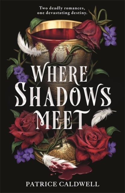 Where Shadows Meet - The instant Sunday Times bestselling sapphic vampire romantasy