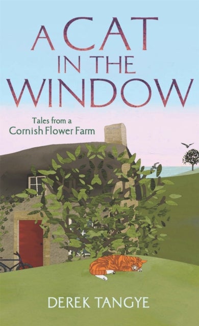 A Cat in the Window - Tales from a Cornish Flower Farm