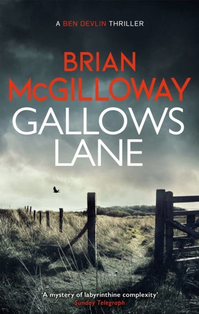 Gallows Lane - An ex con and drug violence collide in the borderlands of Ireland...
