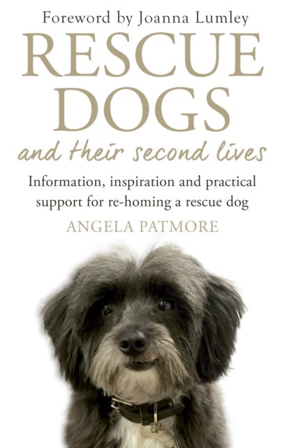 Rescue Dogs and Their Second Lives - Information, Inspiration and Practical Support for Re-Homing a Rescue Dog