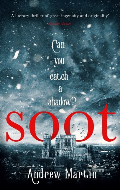 Soot - The Times's Historical Fiction Book of the Month