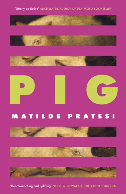 Pig - 'Unsettled me from the start and kept me engrossed to the end' Daily Mail