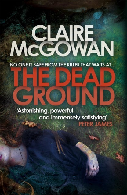 The Dead Ground (Paula Maguire 2) - An Irish serial-killer thriller of heart-stopping suspense