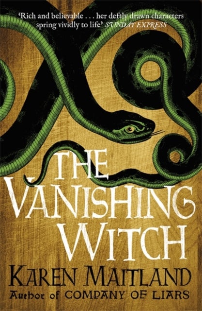 The Vanishing Witch - A dark historical tale of witchcraft and rebellion