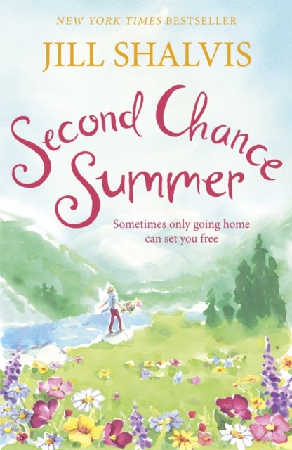 Second Chance Summer - A romantic, feel-good read, perfect for summer
