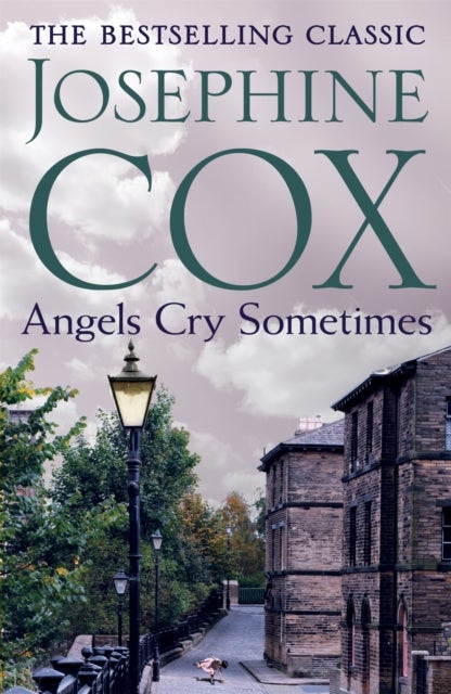 Angels Cry Sometimes - Her world is torn apart, but love prevails
