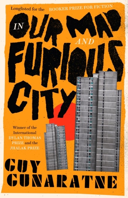 In Our Mad and Furious City - Winner of the International Dylan Thomas Prize
