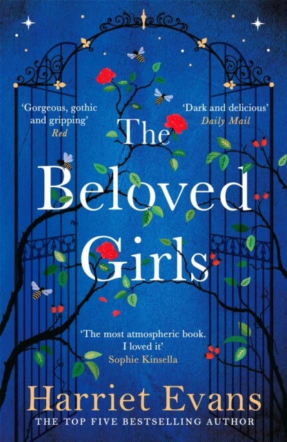 The Beloved Girls - The immersive, beguiling story of one unforgettable summer, with an OMG twist in the tale