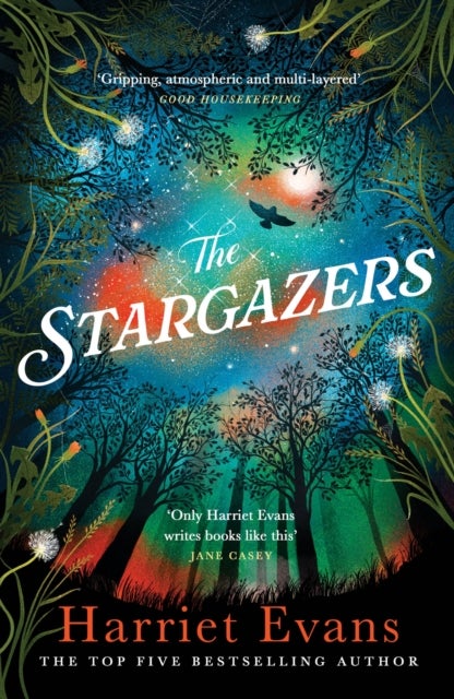 The Stargazers - A captivating, magical love story with a breathtaking twist