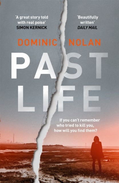 Past Life - an 'astonishing' and 'gripping' crime thriller