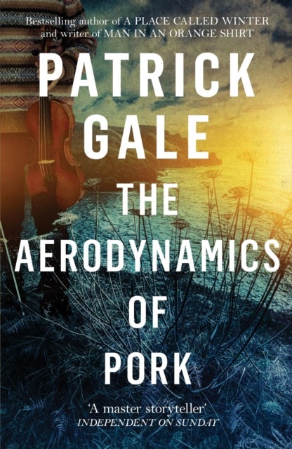 The Aerodynamics of Pork - A delicious debut novel of love, music and comedy, set in the early 1980s