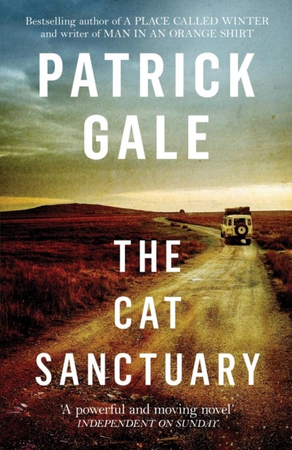 The Cat Sanctuary - An intriguing novel of sisters, childhood and the complexities of family lives