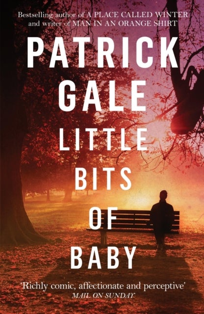 Little Bits of Baby - A quirky, comedic novel of breakdown, escape and the possibilities of finding love