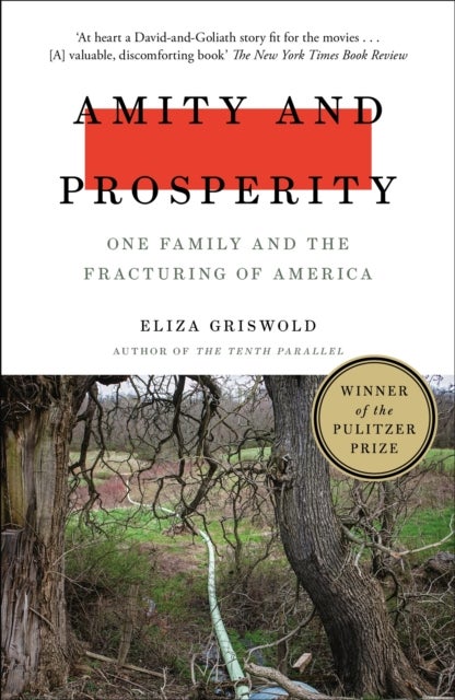 Amity and Prosperity - One Family and the Fracturing of America - Winner of the Pulitzer Prize for Non-Fiction 2019