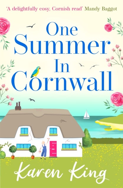 One Summer in Cornwall - the perfect feel-good summer romance