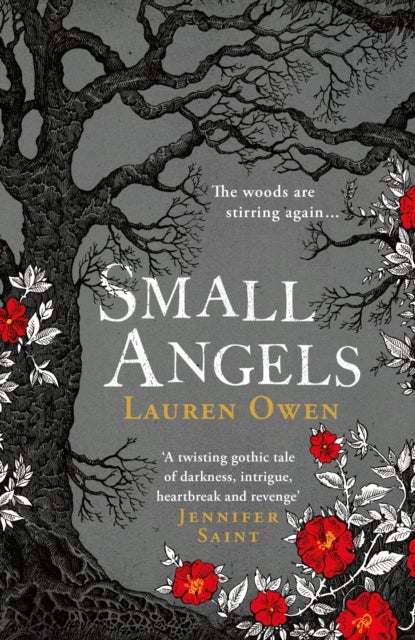 Small Angels - 'A twisting gothic tale of darkness, intrigue, heartbreak and revenge' Jennifer Saint