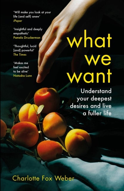 What We Want - A Journey Through Twelve of Our Deepest Desires