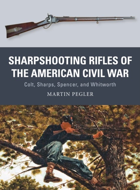 Sharpshooting Rifles of the American Civil War - Colt, Sharps, Spencer, and Whitworth