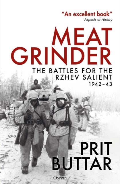 Meat Grinder - The Battles for the Rzhev Salient, 1942–43