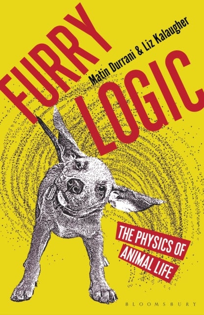 Furry Logic - The Physics of Animal Life
