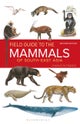 Field Guide to the Mammals of South-east Asia (2nd Edition)