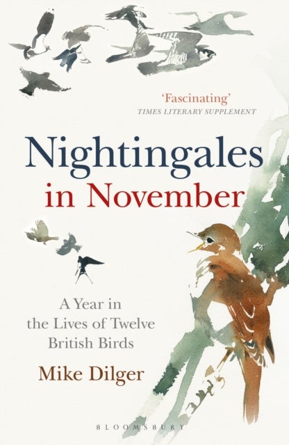 Nightingales in November - A Year in the Lives of Twelve British Birds