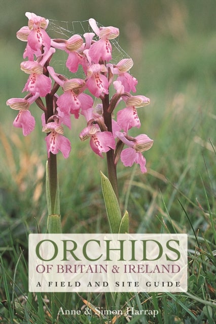 Orchids of Britain and Ireland - A Field and Site Guide