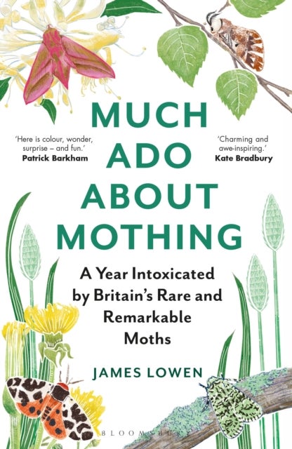 Much Ado About Mothing - A year intoxicated by Britain’s rare and remarkable moths