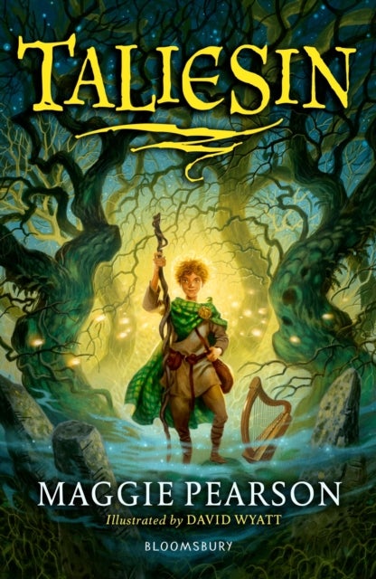 Taliesin: A Bloomsbury Reader - Grey Book Band