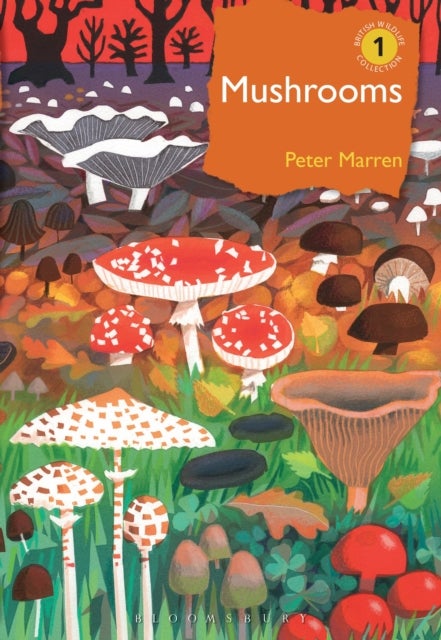 Mushrooms - The natural and human world of British fungi