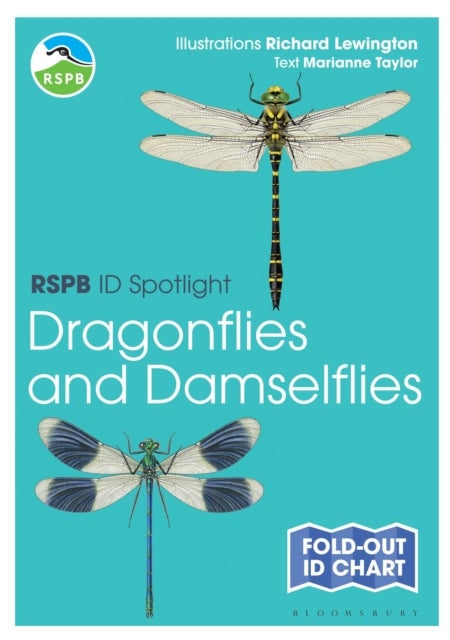 RSPB ID Spotlight - Dragonflies and Damselflies