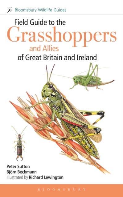 Field Guide to the Grasshoppers and Allies of Great Britain and Ireland - Grasshoppers, Crickets, Earwigs, Cockroaches, Mantids and Stick-insects